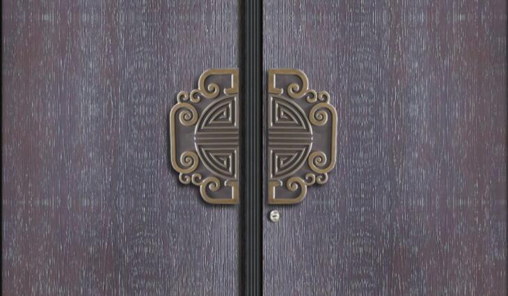 別墅入戶門非標定制拉手